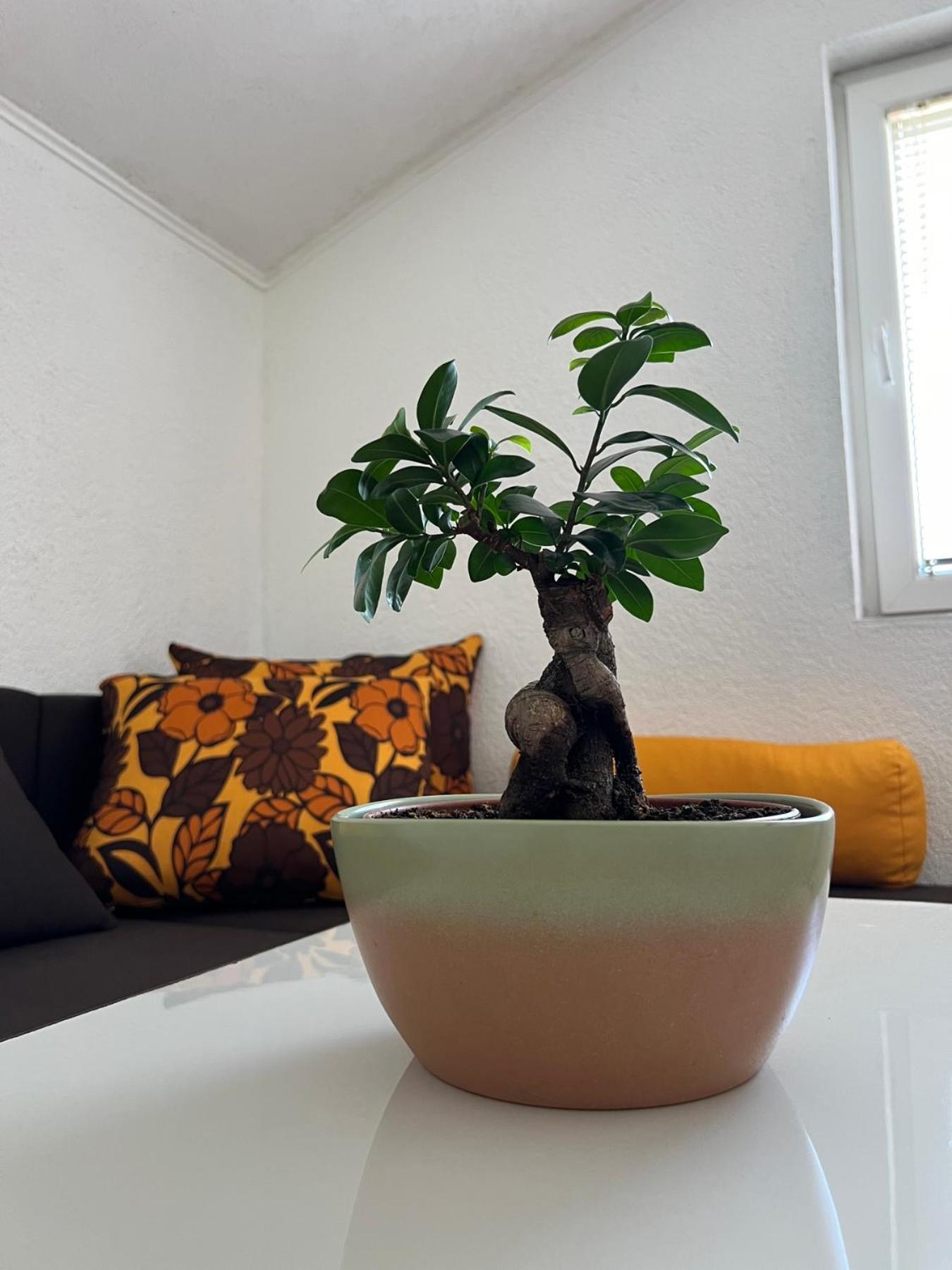Guest House Veljanoski Ohrid Ruang foto